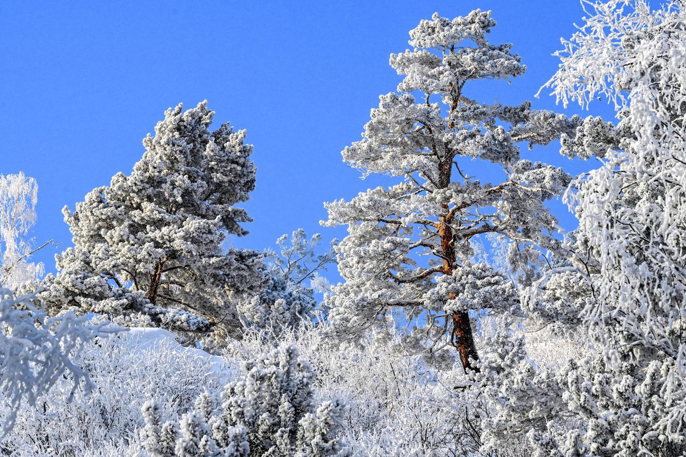 На Камчатке нашли мёртвыми двух человек из пропавшей группы туристов