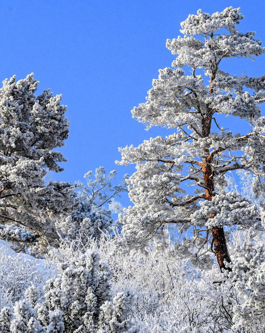 На Камчатке нашли мертвыми двух человек из пропавшей группы туристов. Семеро путешественников из Санкт-Петербурга и Череповца не выходили на связь с 7 апреля. Как сообщает МЧС, речь идёт об опытных лыжниках, имевших опыт зимних походов, но у них не было с собой палатки и спутникового телефона