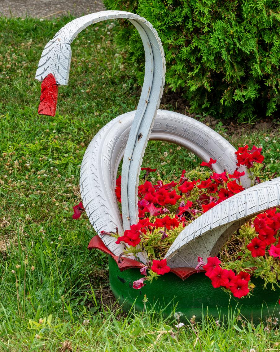 Россиян вновь предостерегли от использования шин в качестве клумб. В соответствии с законодательством Российской Федерации, отработанные автомобильные покрышки относятся к отходам IV класса опасности