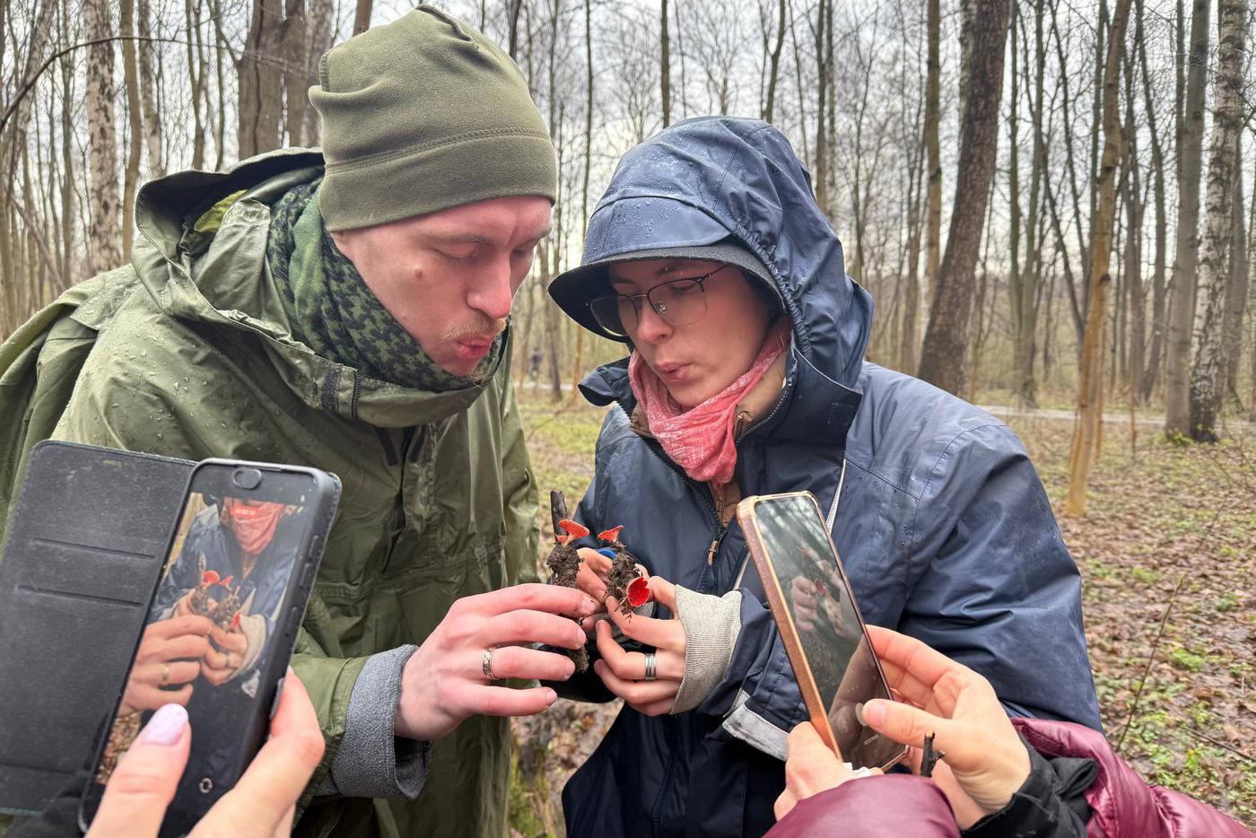 Татьяна с мужем Евгением дуют на саркосцифы, чтобы те выпустили облако спор.