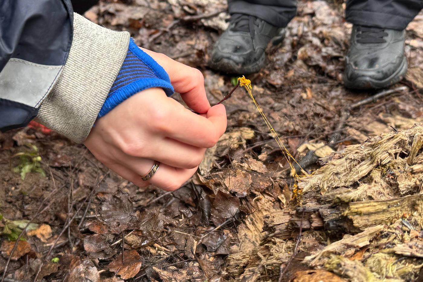 На палочке у Татьяны – живое существо.