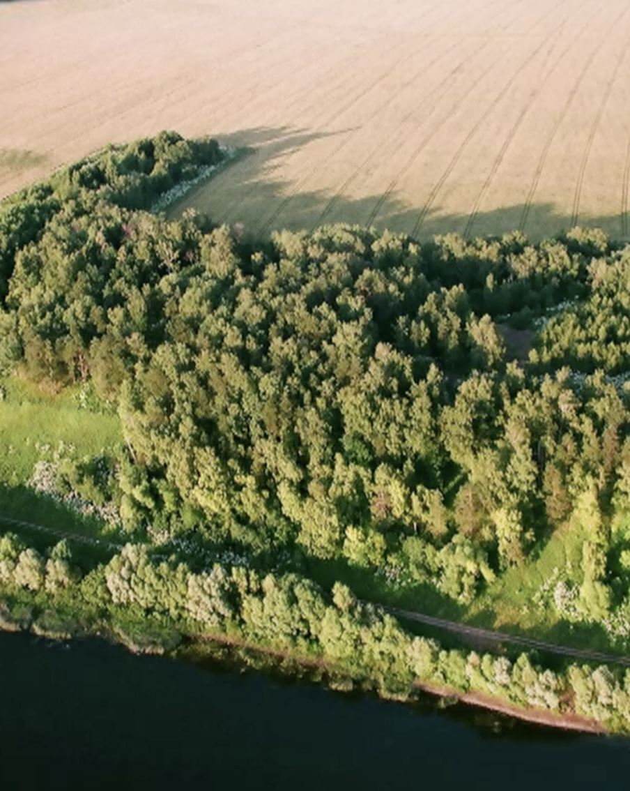 Древний город под Москвой археологи раскапывают уже более 30 лет
