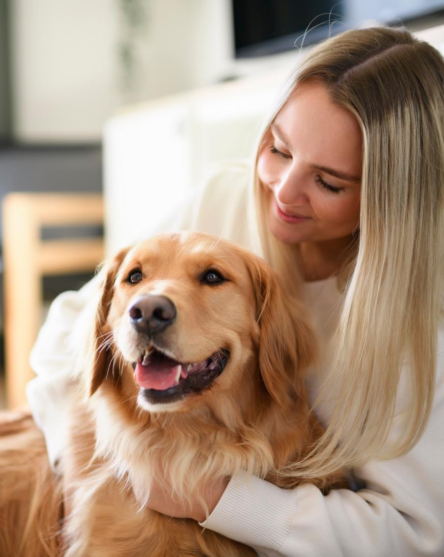 Как выявить болезнь у собаки: чек-лист для внимательных хозяев