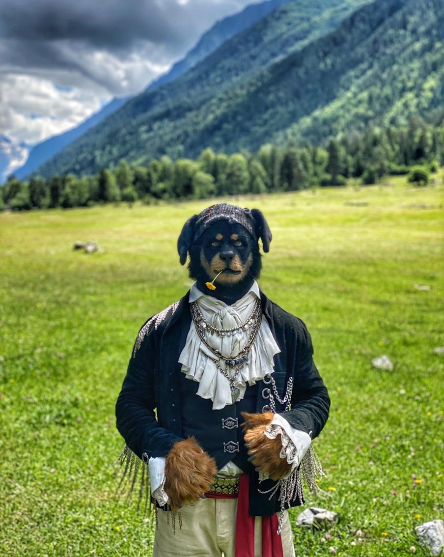 В фильме "Бременские музыканты" Роман Курцын сыграл Пса.