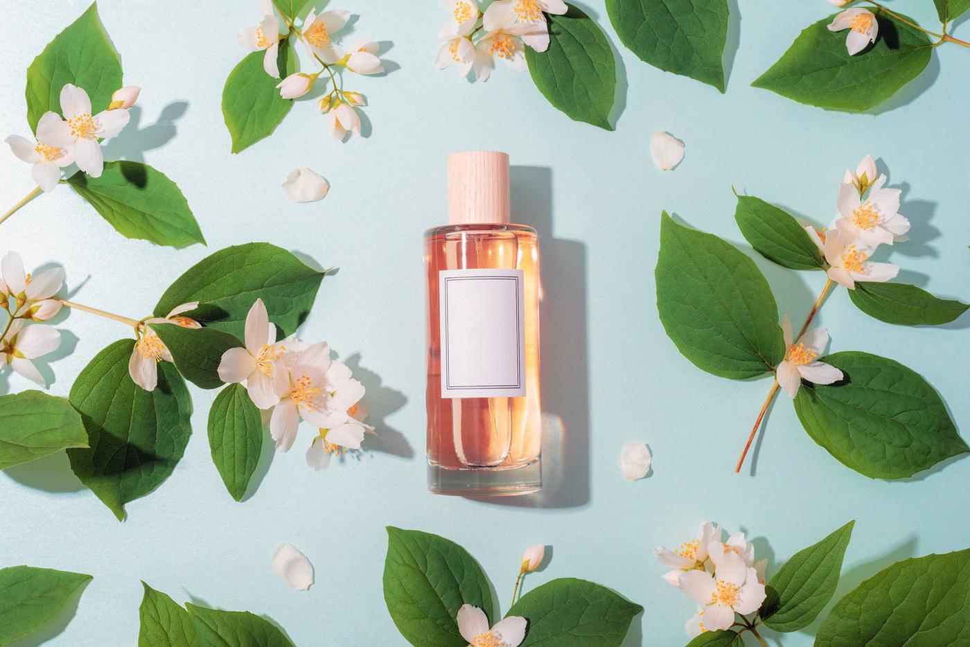 Жасмин и ландыш – редкие, но очень атмосферные ноты в парфюмерии.