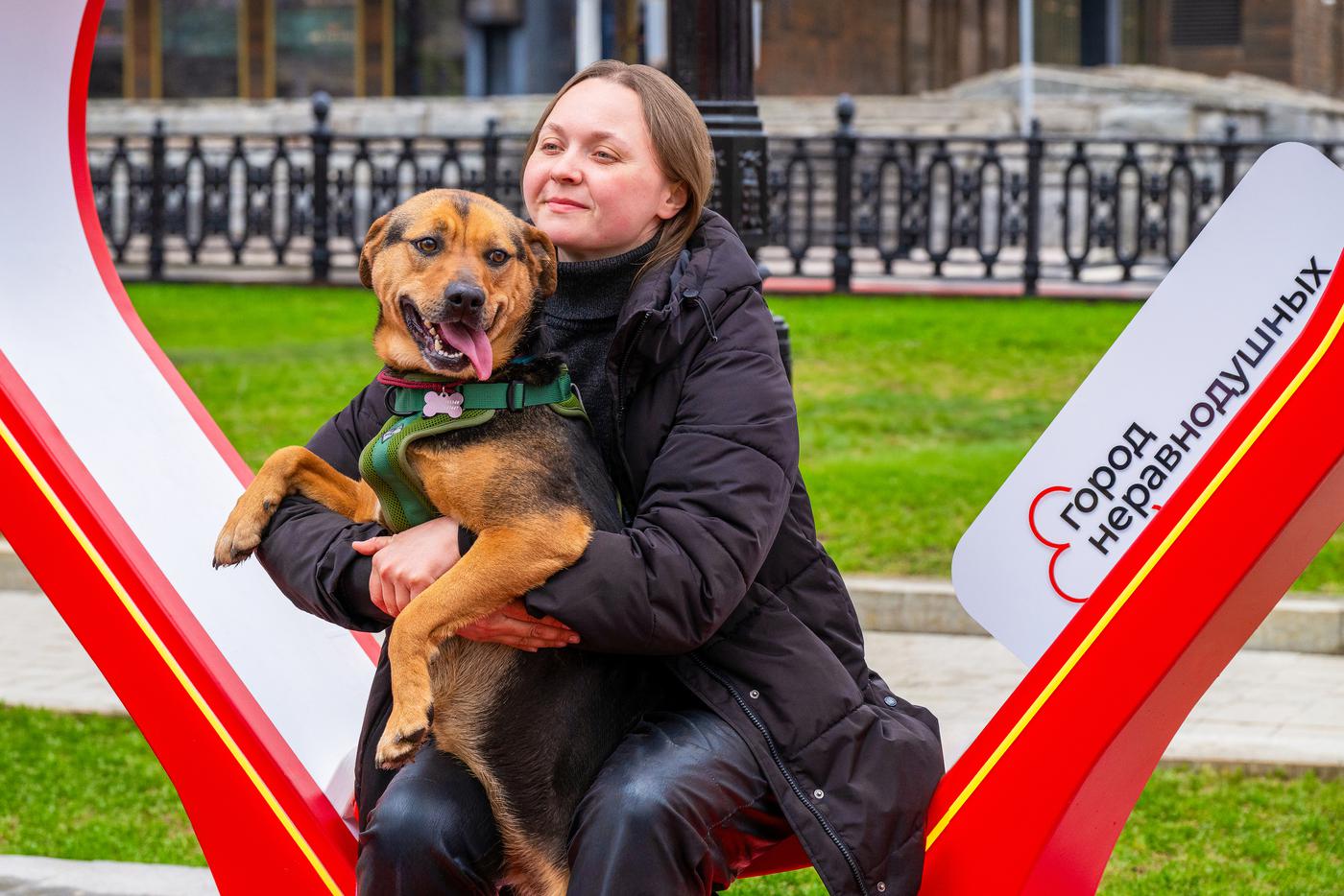 На выставке можно найти себе верного друга и забрать его к себе домой.