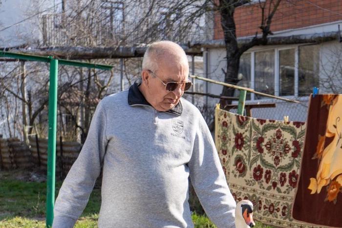 Обрести Счастье: российский пенсионер подружился с лебедем и хочет спасти его товарища