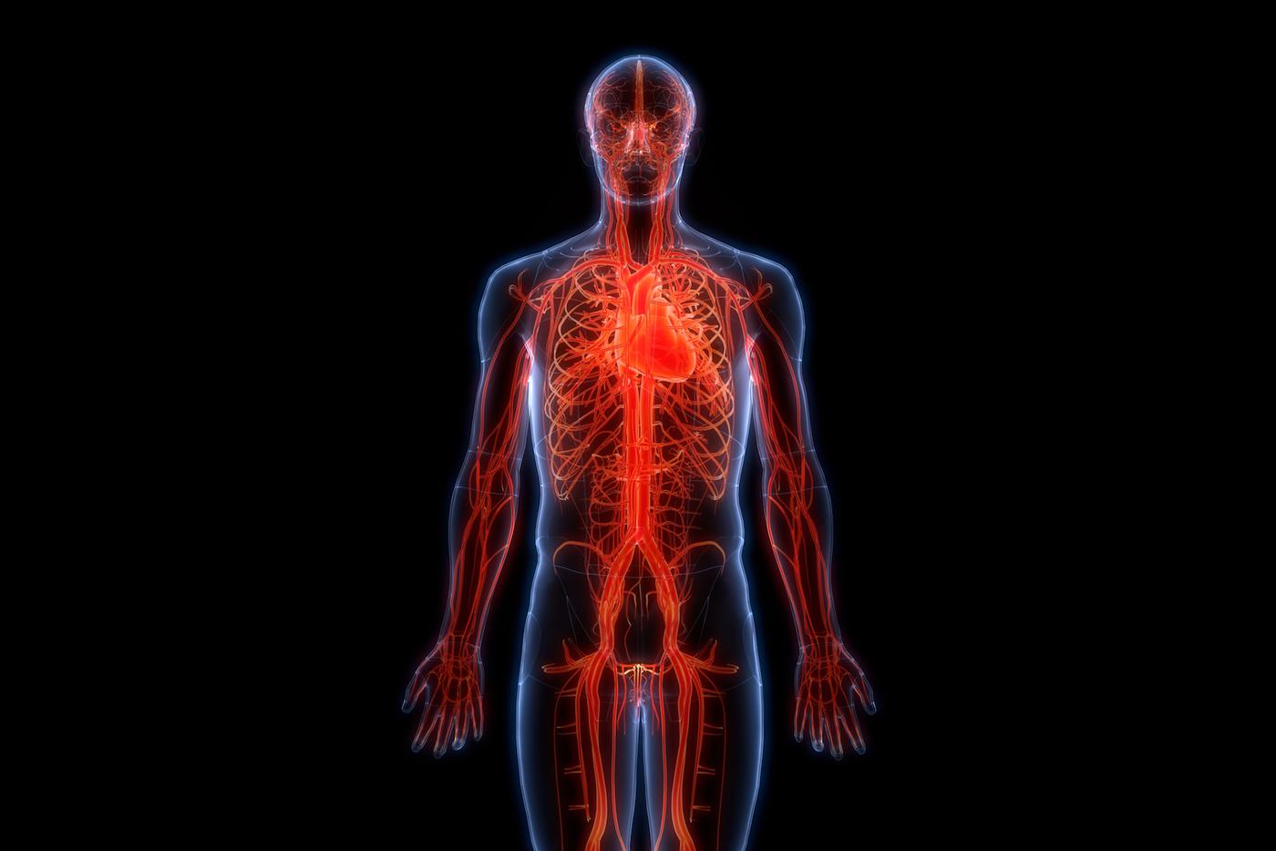 Афиша на 20 апреля: путешествуем понарошку и понимаем эволюцию