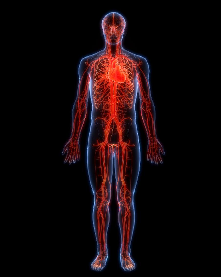 Афиша на 20 апреля: путешествуем понарошку и понимаем эволюцию