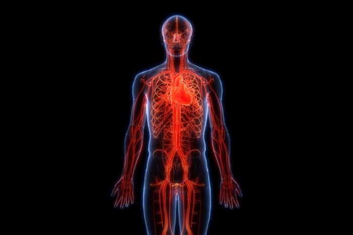 Афиша на 20 апреля: путешествуем понарошку и понимаем эволюцию