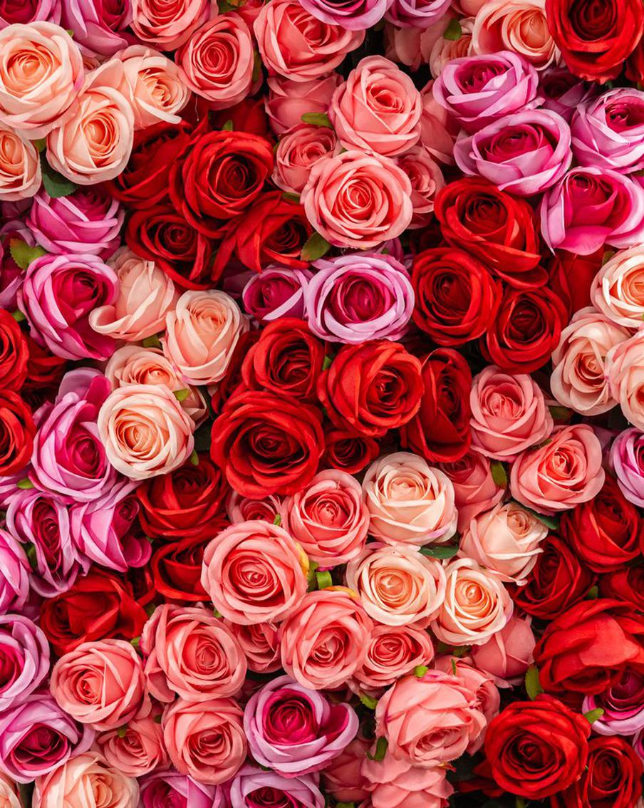 Неизвестный москвич подарил своей избраннице розы на сумму 70 миллионов рублей. Пока не установленный житель столицы решил необычно признаться в любви своей избраннице. Он завалил один из столичных ЖК розами общей стоимостью 70 миллионов рублей