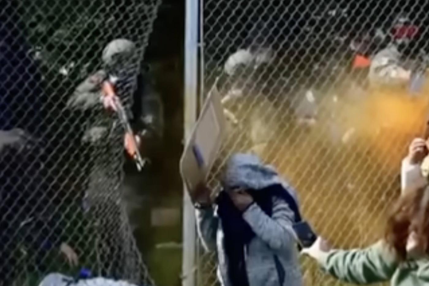 Штурм питомника с биглями: полиция применила силу против тысячи зоозащитников