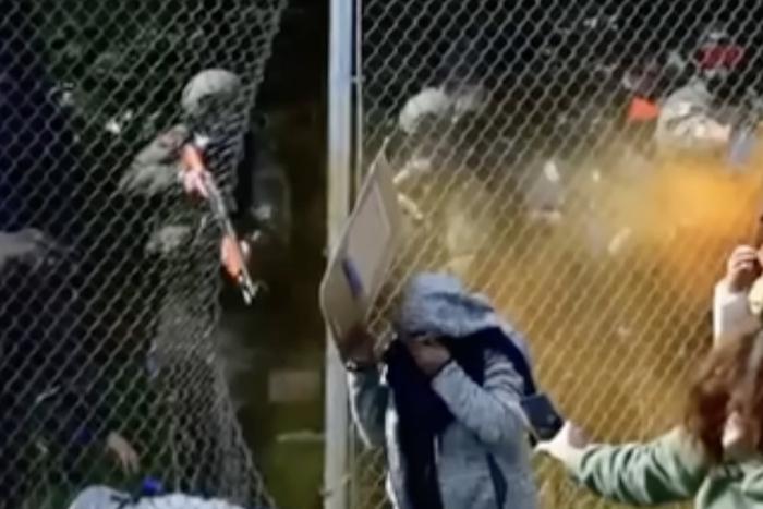 Штурм питомника с биглями: полиция применила силу против тысячи зоозащитников