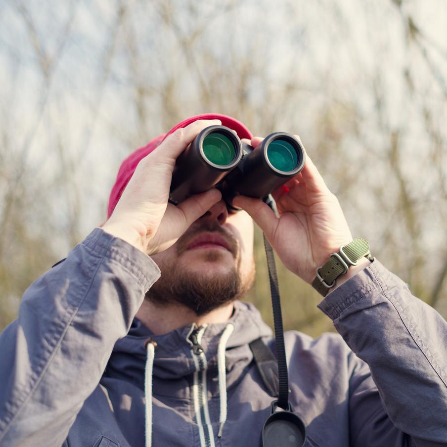 "Покемон" навсегда: как видеоигра превратила миллионы людей в орнитологов. Австралийский писатель Джейс Каррано поделился историей о том, как детское увлечение виртуальными монстрами переросло в настоящую охоту за пернатыми. Теперь вместо редких гаджетов он коллекционирует встречи с птицами