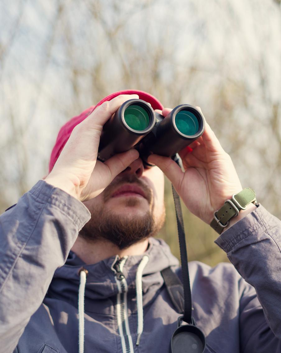 "Покемон" навсегда: как видеоигра превратила миллионы людей в орнитологов. Австралийский писатель Джейс Каррано поделился историей о том, как детское увлечение виртуальными монстрами переросло в настоящую охоту за пернатыми. Теперь вместо редких гаджетов он коллекционирует встречи с птицами