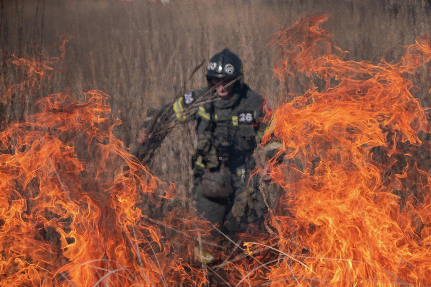 Россиянам грозит до 10 лет тюрьмы за пал сухой травы