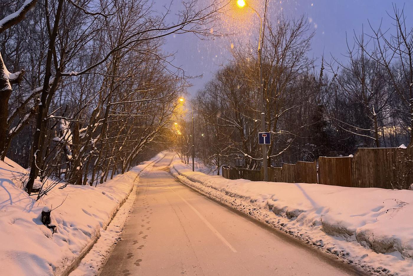 Синоптик: в нескольких районах Подмосковья ночью выпал снег