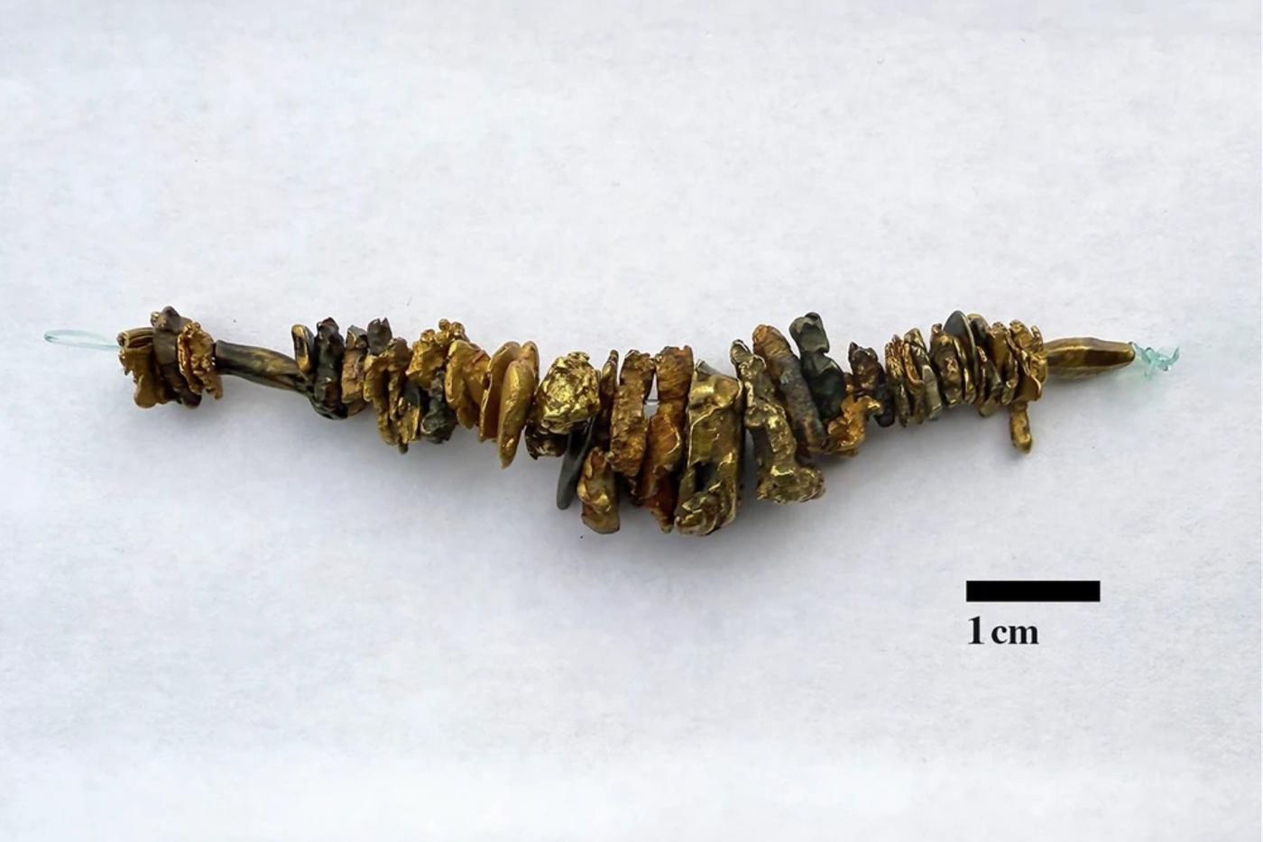 Золотое украшение, поднятое с корабля пирата "Черного Сэма Беллами", который затонул во время шторма у берегов Массачусетса в 1717 году.