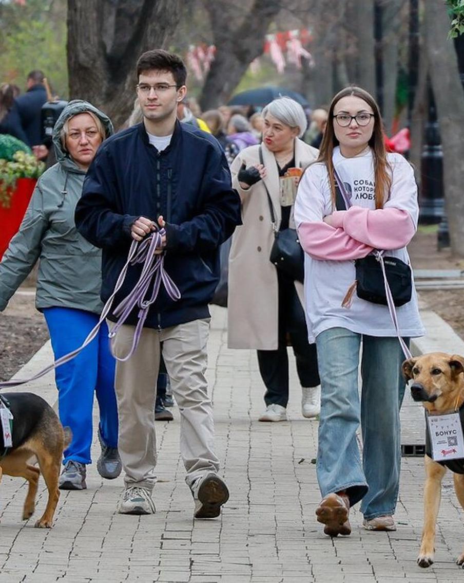 Более 50 животных нашли хозяев на мероприятии "Моспитомец х Четвероногий друг"