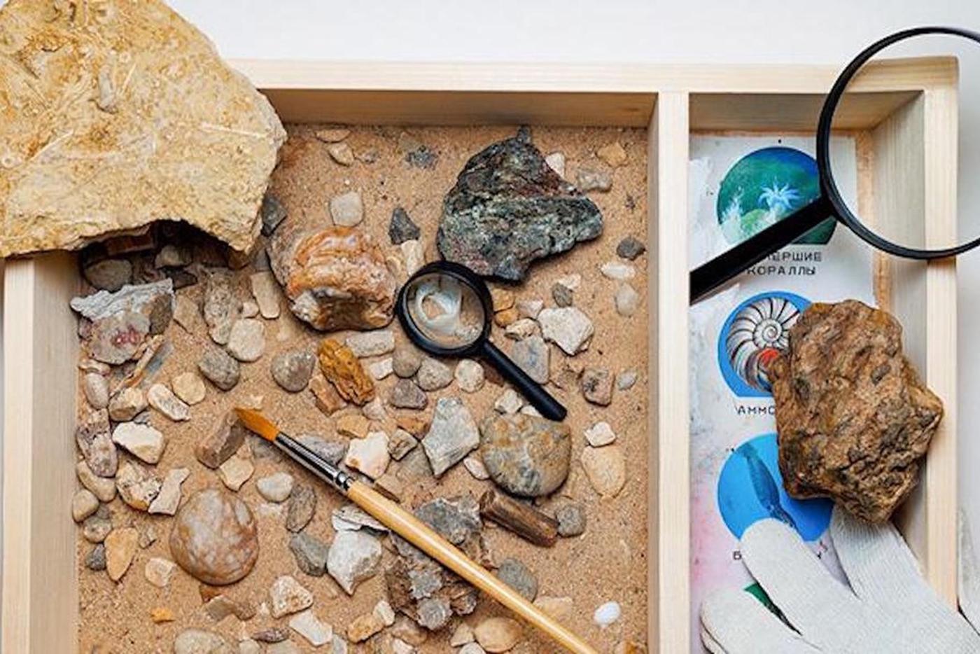 Участники мастер-класса научатся работать с находками 