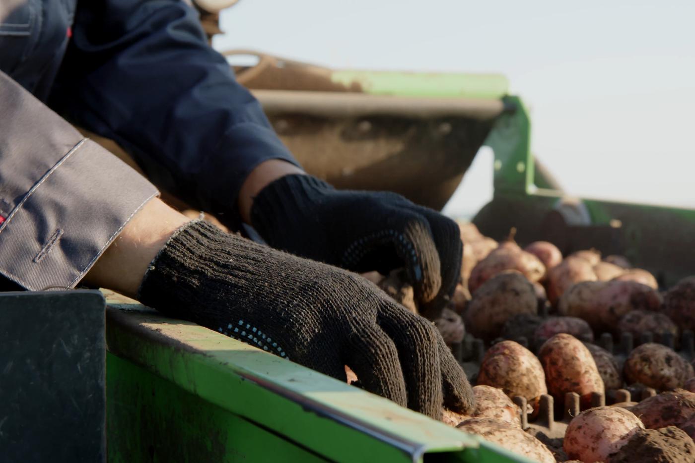 Мир в огне: какие последствия спровоцирует перекрытие Ормузского пролива