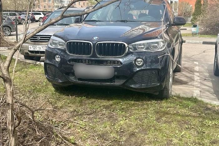 Максим Ликсутов напомнил о запрете парковки на зелёных насаждениях