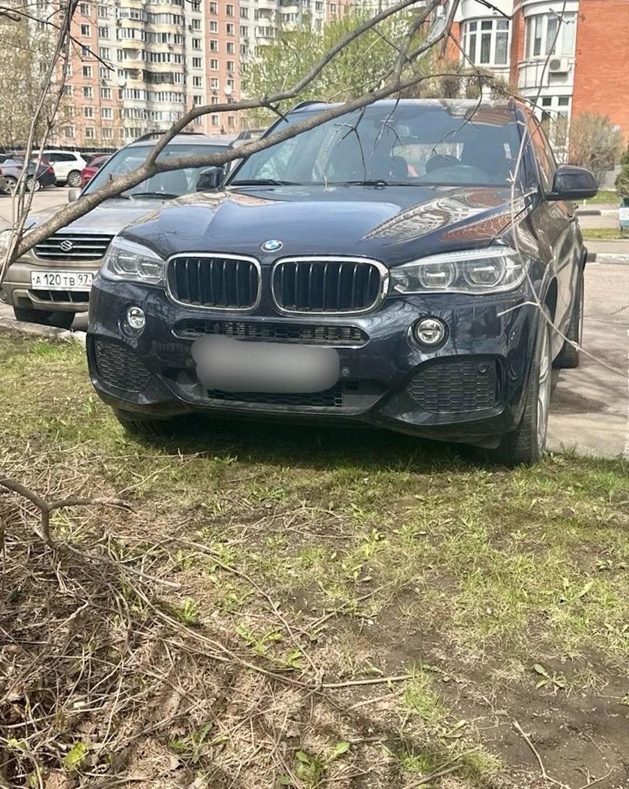 Максим Ликсутов напомнил о запрете парковки на зелёных насаждениях