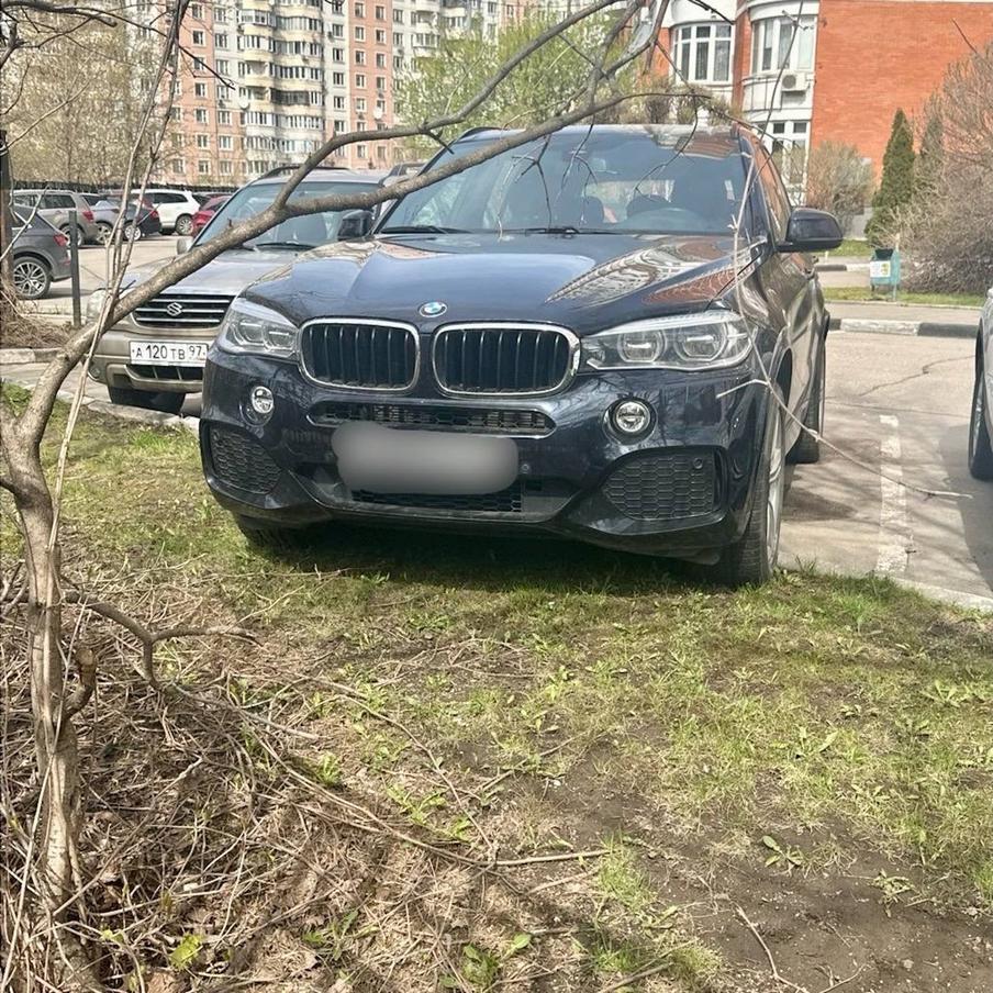 Максим Ликсутов напомнил о запрете парковки на зелёных насаждениях