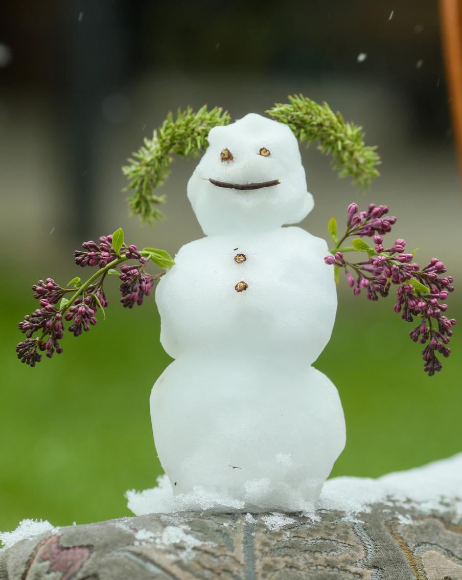 Штормовое предупреждение: в Москве с 26 апреля ожидается резкое ухудшение погоды