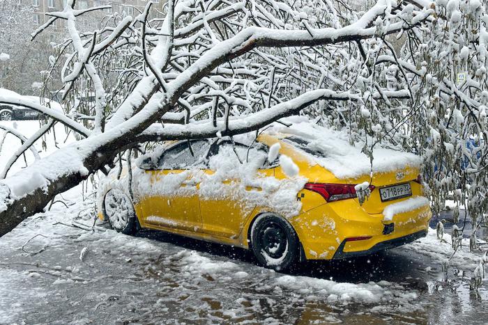 Сергей Собянин предупредил о стремительном ухудшении погоды в Москве