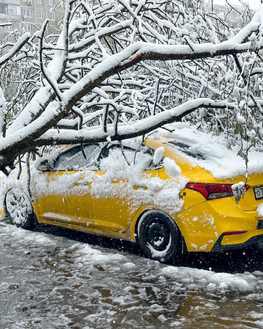 Сергей Собянин предупредил о стремительном ухудшении погоды в Москве