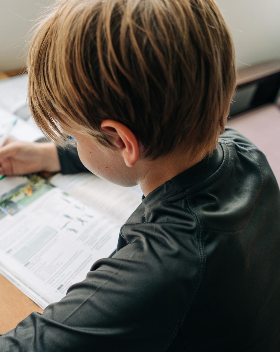 Домашнее задание теряет смысл из-за помощи нейросетей