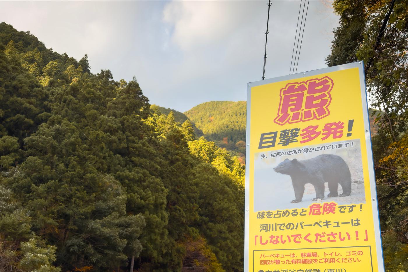 Табличка в одной из префектур Японии, предупреждающая об опасности встречи с медведем.