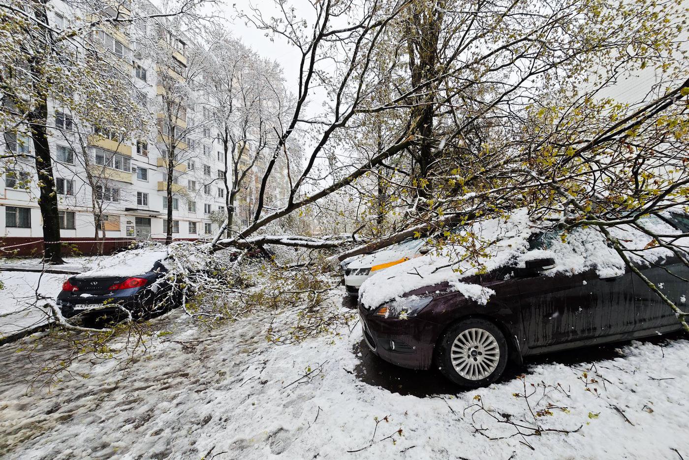 Высота снежного покрова в Москве побила рекорд 1971 года