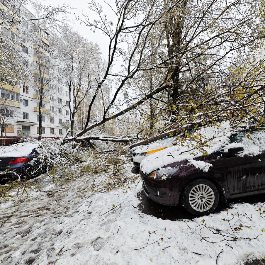 Высота снежного покрова в Москве побила рекорд 1971 года. По словам ведущего специалиста центра погоды "Фобос" Евгения Тишковца, в Москве на 28 апреля был установлен новый рекорд по высоте снежного покрова. На главной московской метеостанции ВДНХ высота снега достигла 10 сантиметров, что превысило предыдущий суточный рекорд, который держался с 1971 года и составлял 7 сантиметров