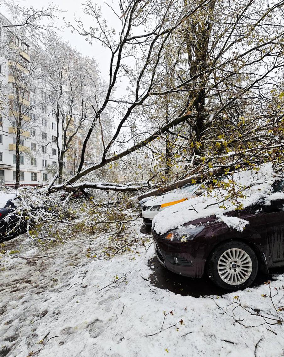 Высота снежного покрова в Москве побила рекорд 1971 года. По словам ведущего специалиста центра погоды "Фобос" Евгения Тишковца, в Москве на 28 апреля был установлен новый рекорд по высоте снежного покрова. На главной московской метеостанции ВДНХ высота снега достигла 10 сантиметров, что превысило предыдущий суточный рекорд, который держался с 1971 года и составлял 7 сантиметров