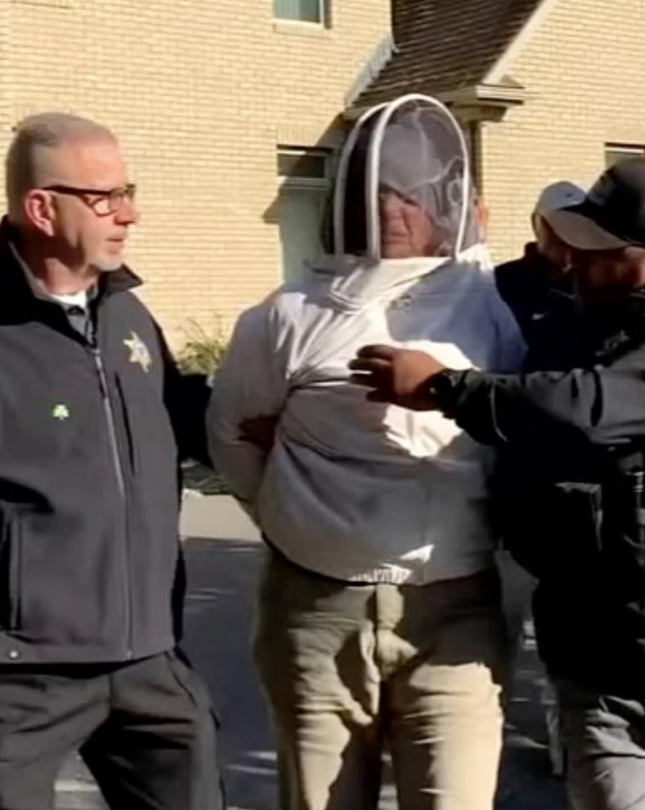 В США пчеловод отправилась в тюрьму за попытку спасти друга от выселения. 59-летняя Ребекка Вудс выпустила тысячи пчёл на шерифов, которые явились выселять из дома её 80-летнего друга, больного раком. Несколько офицеров были ужалены в голову и лицо, один попал в больницу. Суд приговорил женщину к шести месяцам тюрьмы