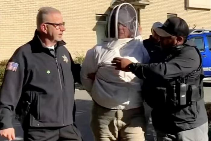 Пчелиная атака на шерифа: американку осудили за попытку сорвать выселение друга