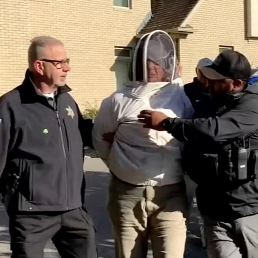 В США пчеловод отправилась в тюрьму за попытку спасти друга от выселения. 59-летняя Ребекка Вудс выпустила тысячи пчёл на шерифов, которые явились выселять из дома её 80-летнего друга, больного раком. Несколько офицеров были ужалены в голову и лицо, один попал в больницу. Суд приговорил женщину к шести месяцам тюрьмы