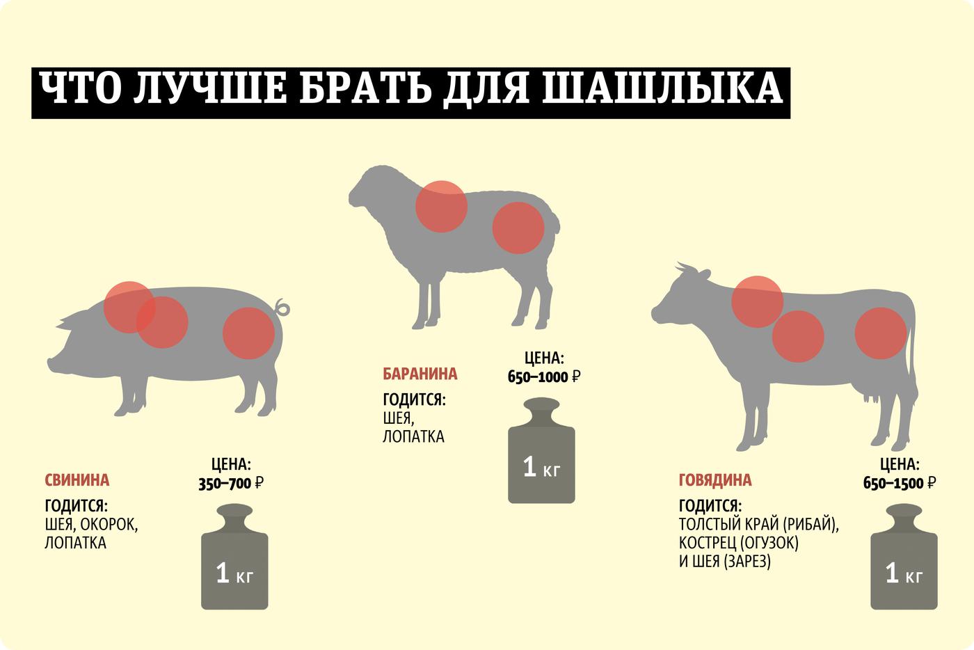 Инфографика