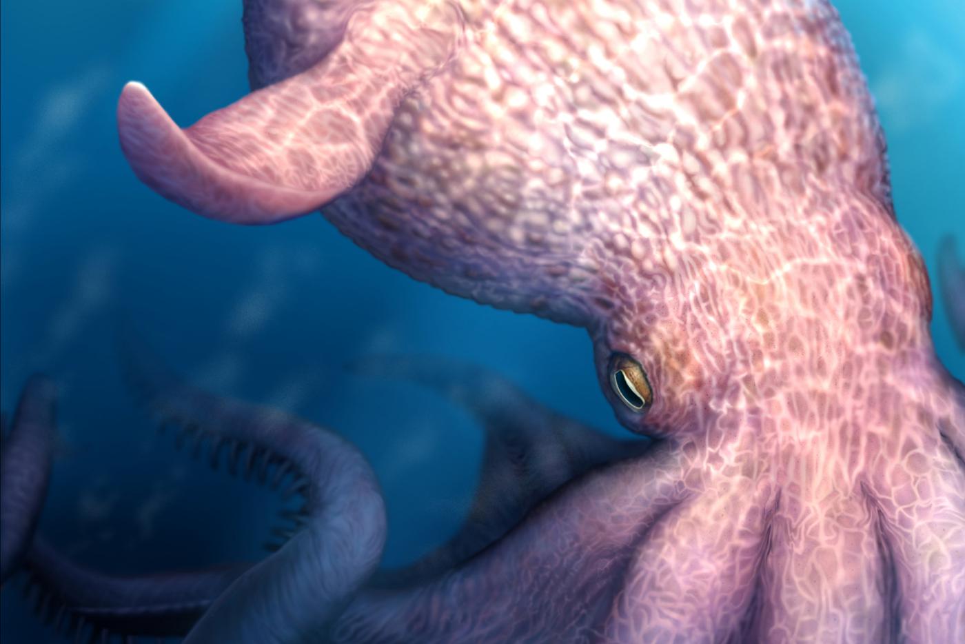 Японские учёные нашли осьминога, способного конкурировать с динозаврами