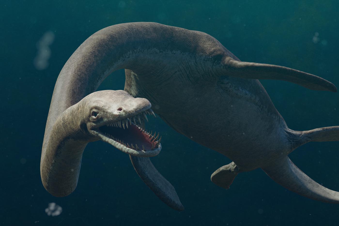 Эласмозавр (лат. Elasmosaurus) — род плезиозавров, живших в Северной Америке в кампанский век позднего мелового периода
