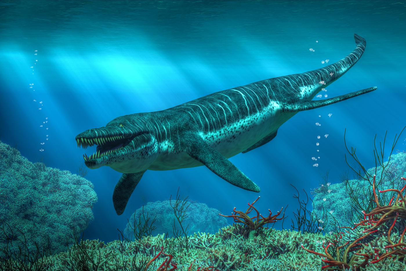 Кронозавр (лат. Kronosaurus) — крупный плиозаврид из океанов южных широт, обитал в меловом периоде около 120 — 100 млн лет назад.