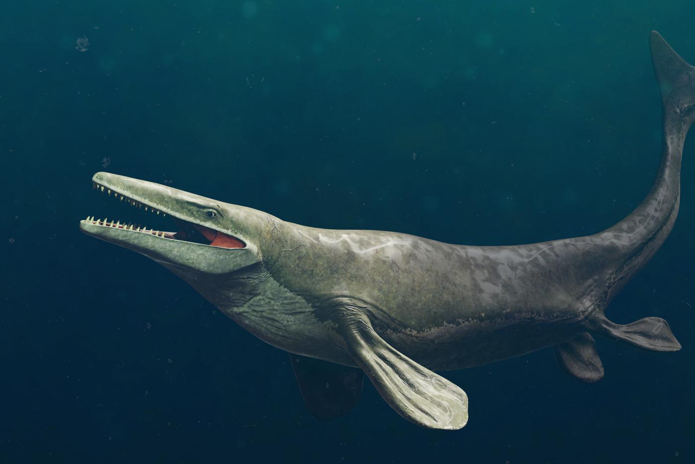 Мозазавр (лат. Mosasaurus) — типовой род мозазавров, вымершей группы морских чешуйчатых рептилий, живший в меловом периоде на территории современных Евразии, Африки, Северной Америки, Южной Америки и Антарктиды.