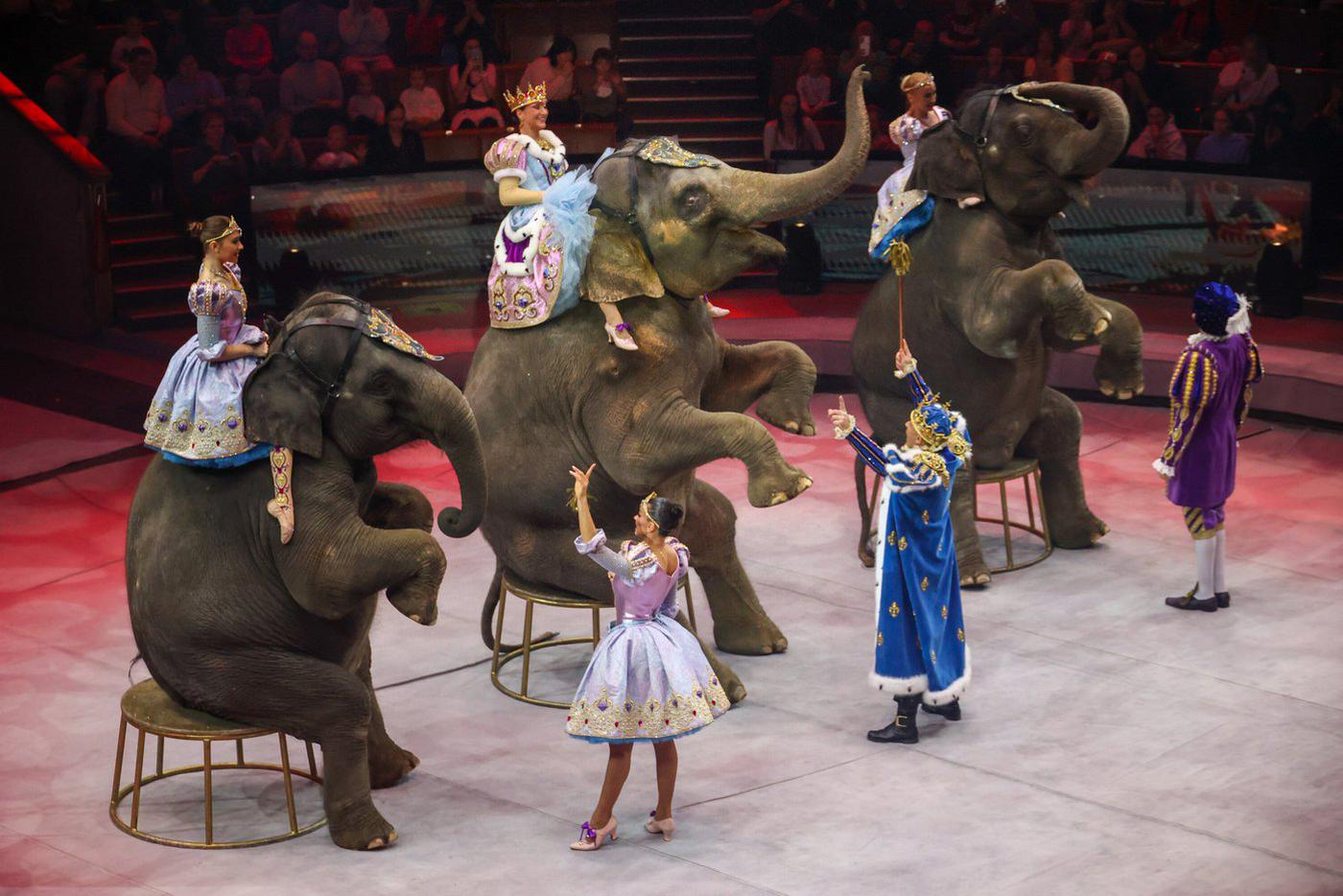 Сергей Собянин: Большой московский цирк отмечает 55-летний юбилей