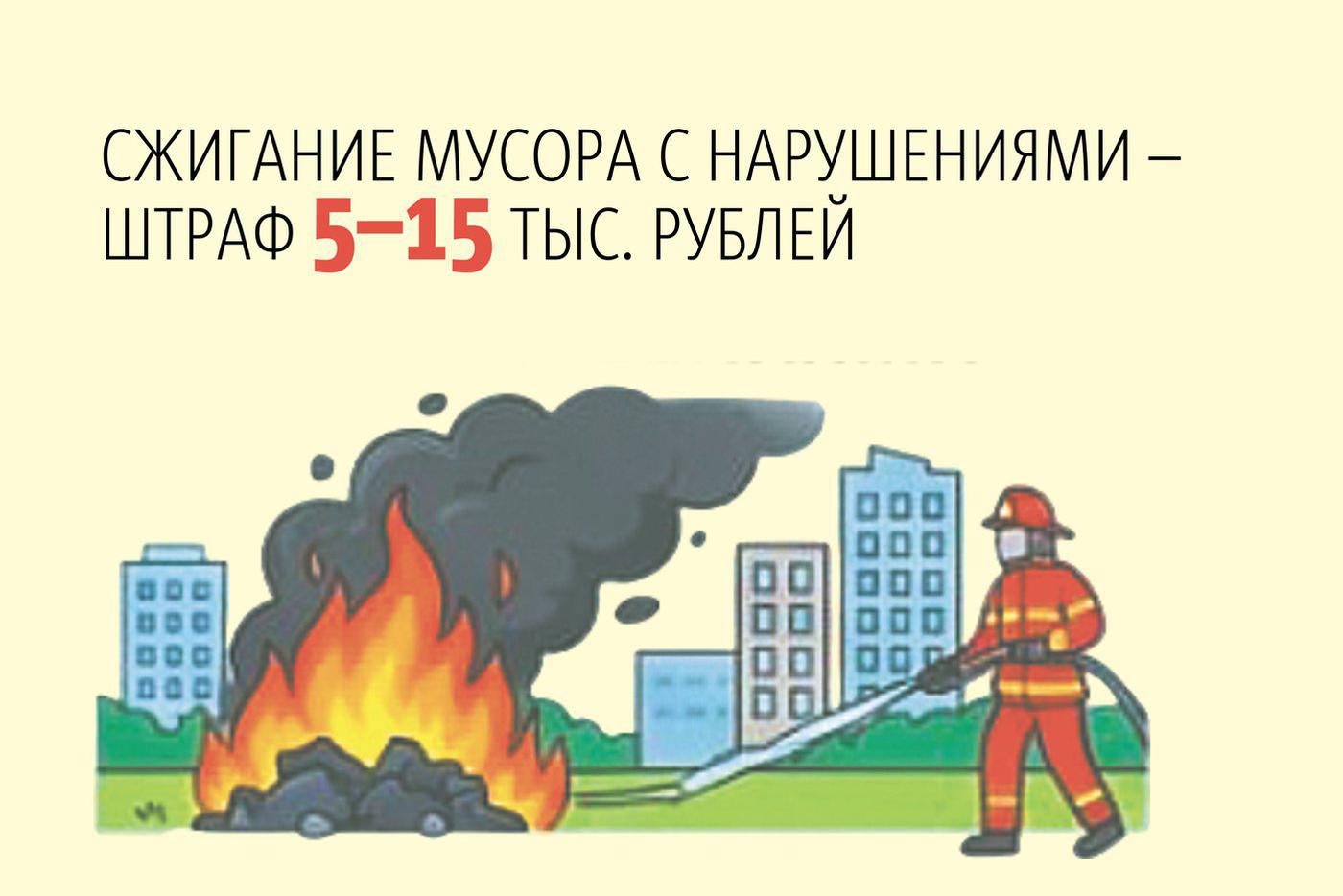 Инфографика