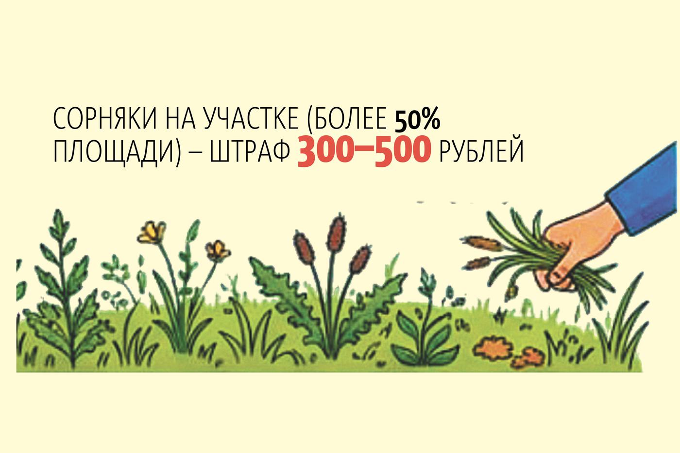 Всё о штрафах для дачников