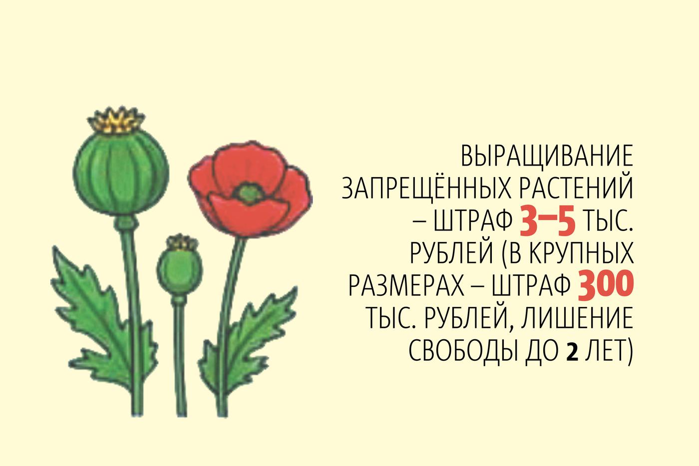 Всё о штрафах для дачников