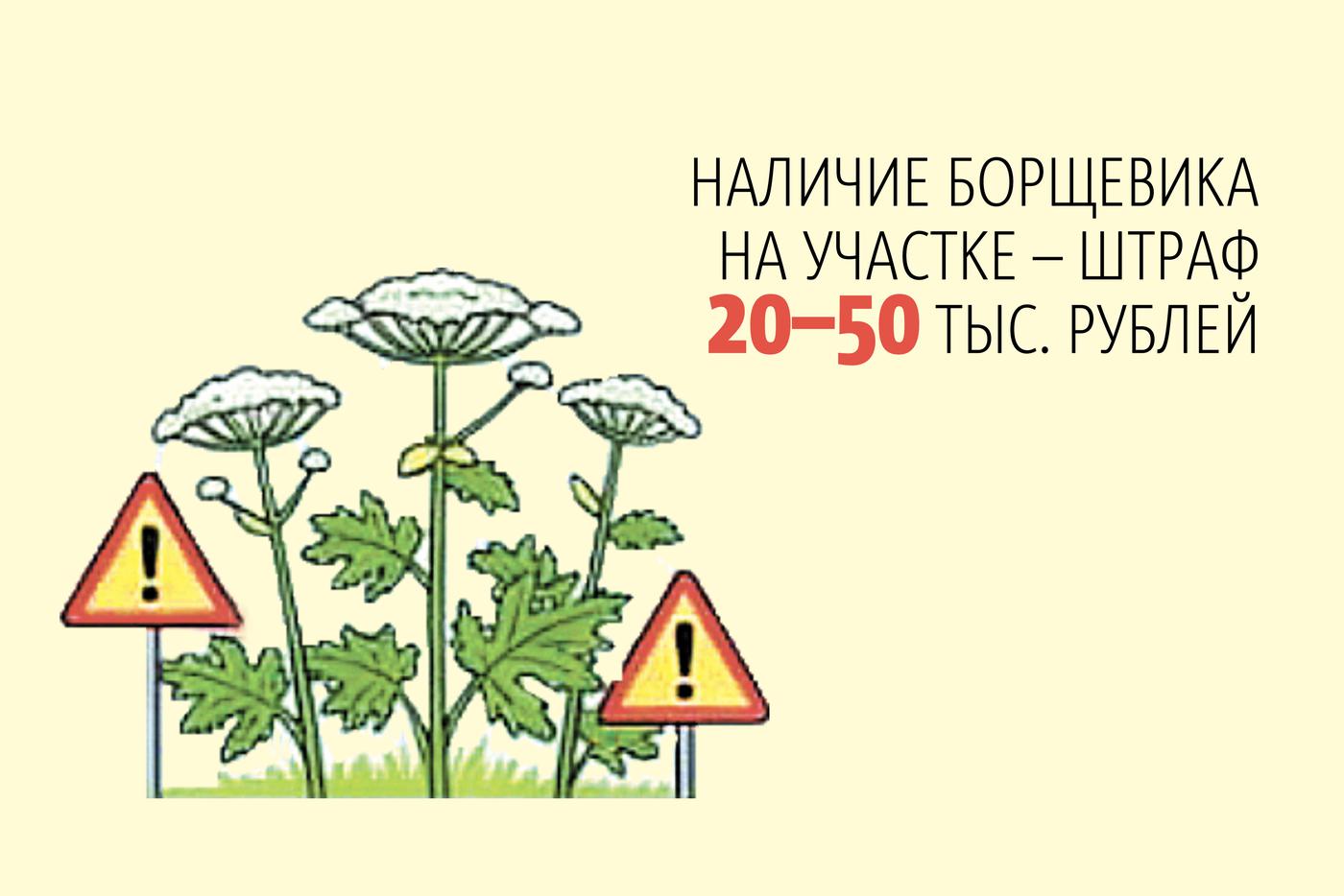 Всё о штрафах для дачников