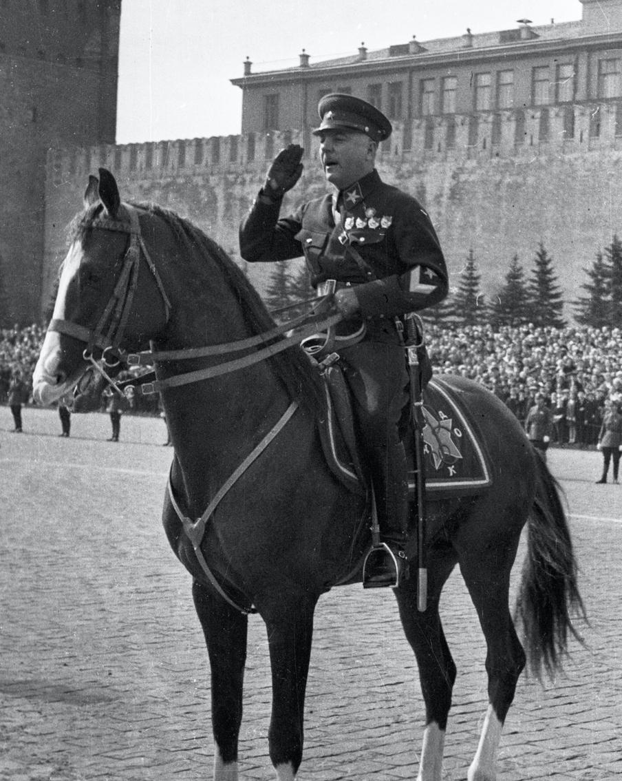 Любимая лошадь Климента Ворошилова.